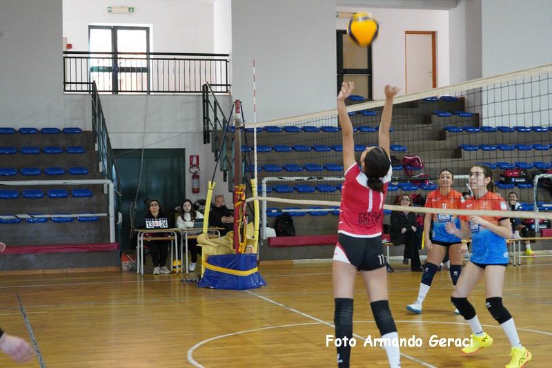 DSC05310_tn.jpg