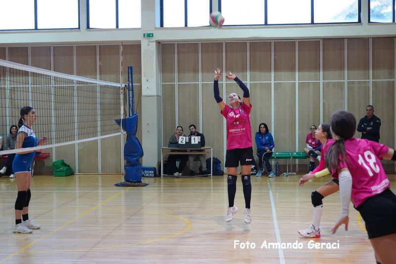 DSC08895_tn.jpg
