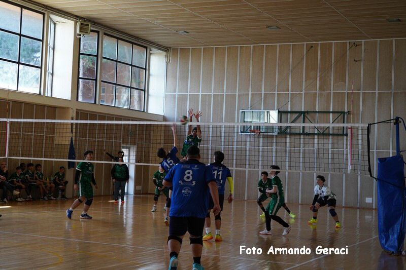 DSC03414_tn.jpg