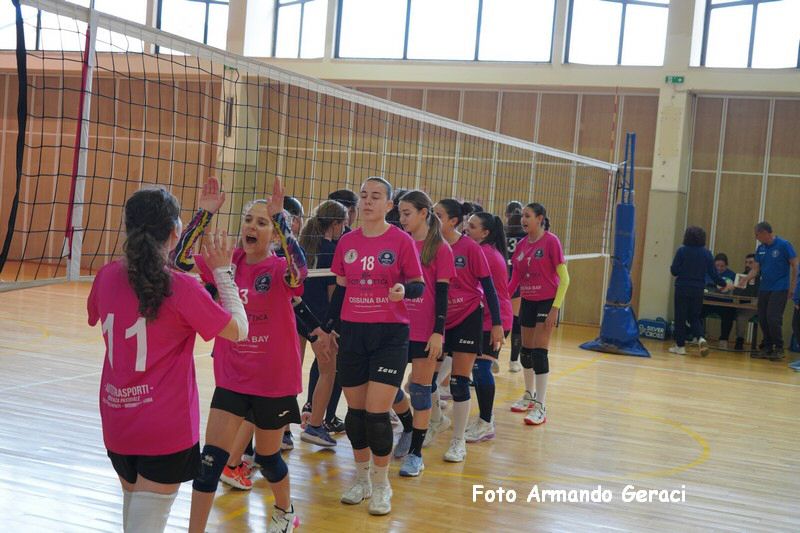 DSC03702_tn.jpg