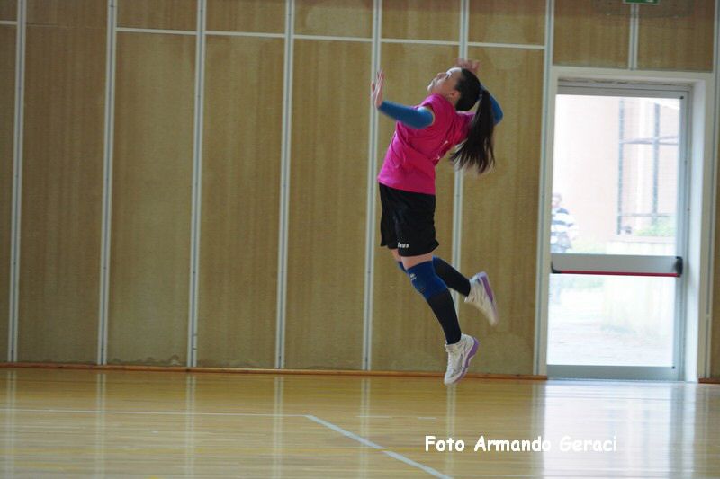 DSC03711_tn.jpg