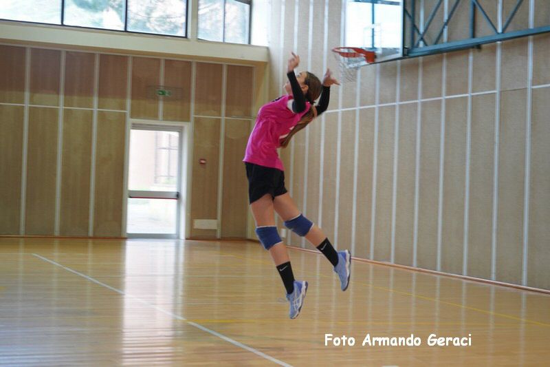 DSC03729_tn.jpg