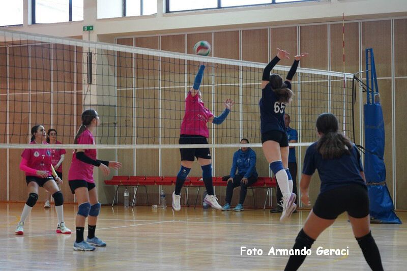DSC03802_tn.jpg