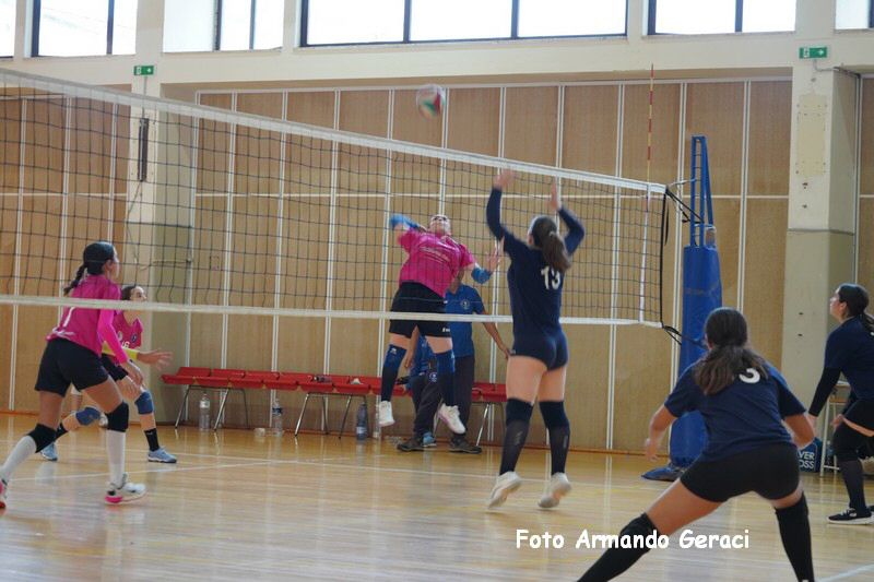 DSC03805_tn.jpg