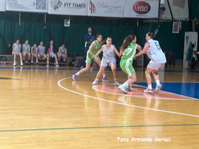 IMG_2536_tn.jpg