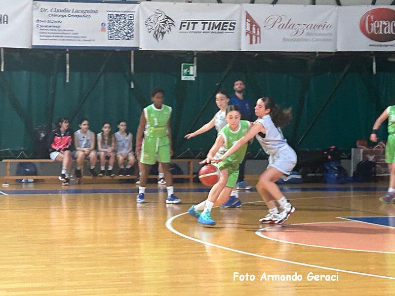 IMG_2542_tn.jpg