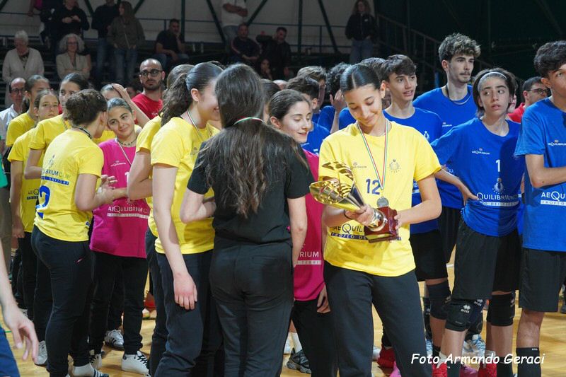 DSC02975_tn.jpg