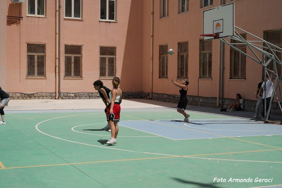 DSC05795_tn.jpg