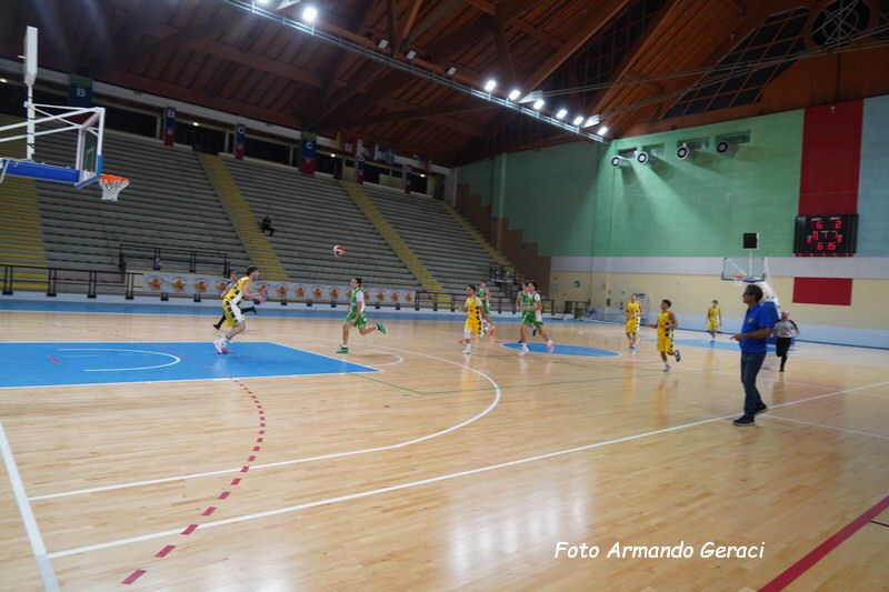 DSC08970_tn.jpg