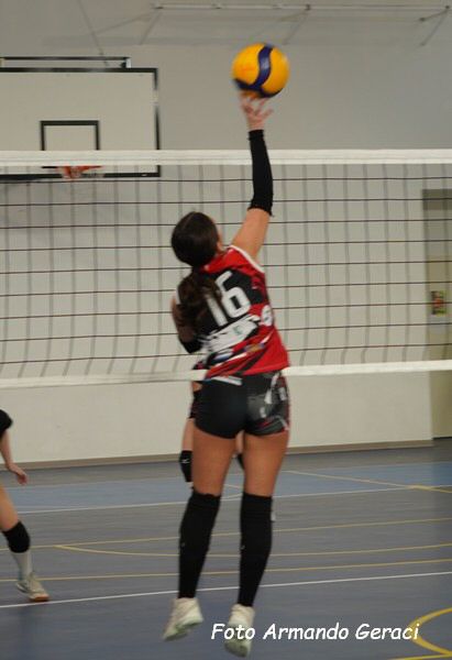 DSC08774y_tn.jpg