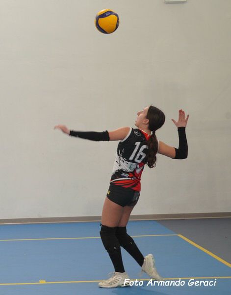 DSC08781y_tn.jpg