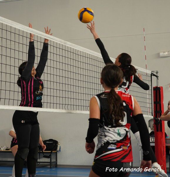 DSC08815y_tn.jpg