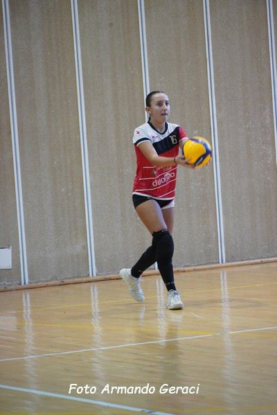 DSC08799_tn.jpg