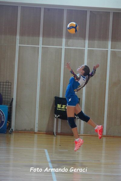 DSC08803_tn.jpg