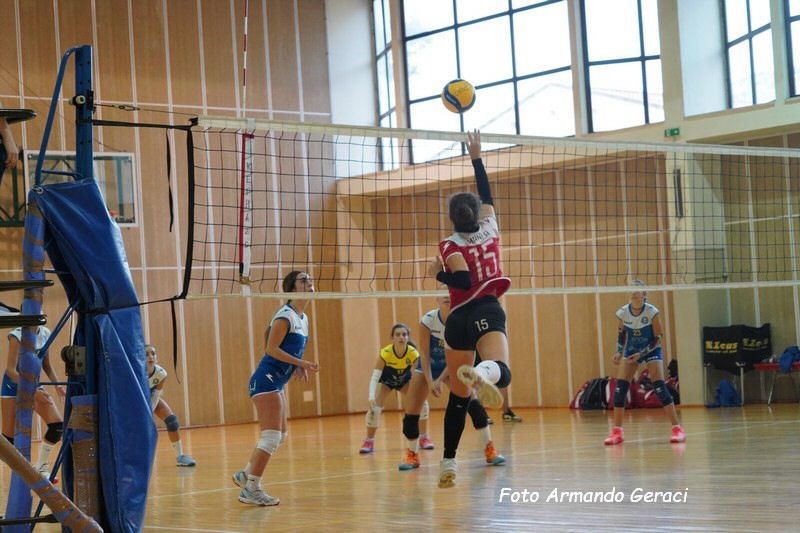 DSC08855_tn.jpg