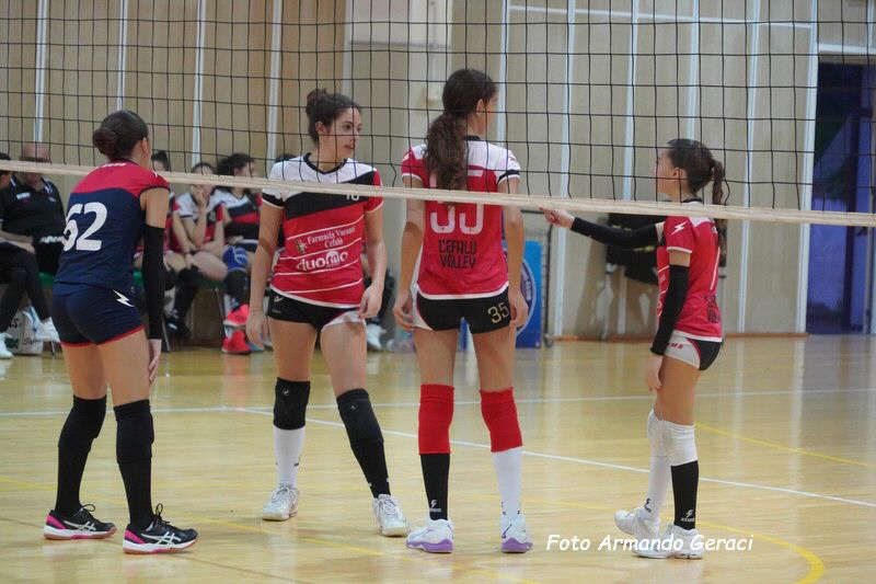 DSC08916_tn.jpg