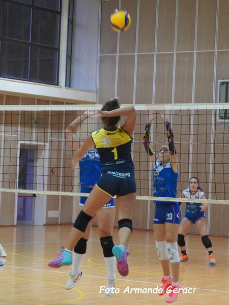 DSC00527y_tn.jpg