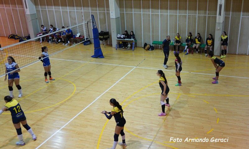 DSC00631y_tn.jpg