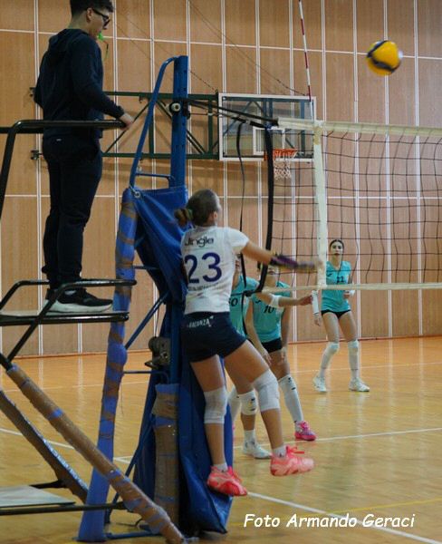 DSC01939Y_tn.jpg