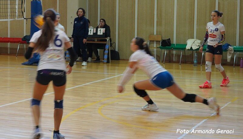 DSC01940Y_tn.jpg