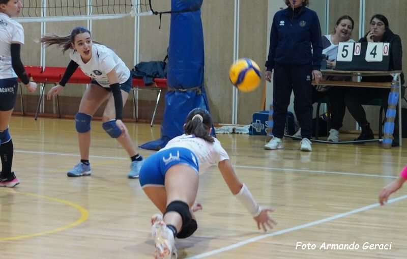 DSC01949Y_tn.jpg