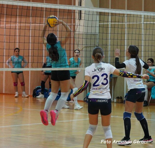 DSC01954Y_tn.jpg