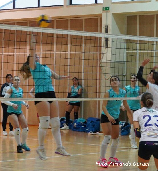 DSC01955Y_tn.jpg