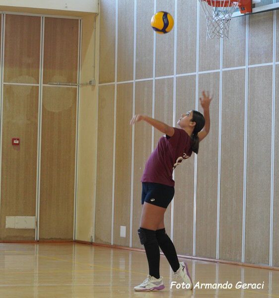 DSC05060y_tn.jpg