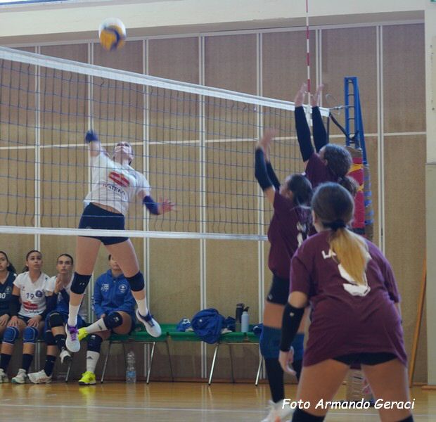 DSC05076y_tn.jpg