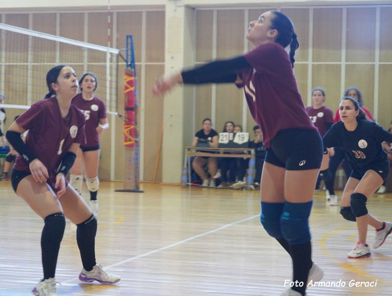 DSC05107y_tn.jpg