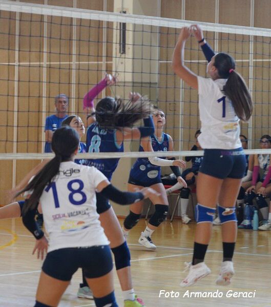 DSC04387y_tn.jpg