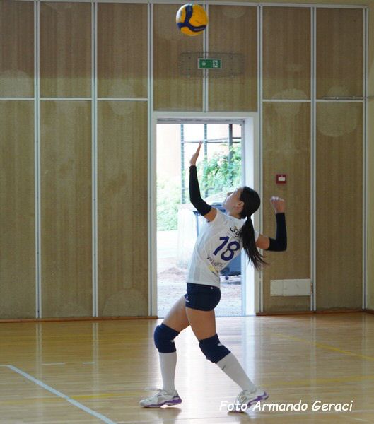 DSC04394y_tn.jpg