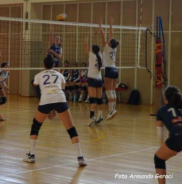 DSC04404y_tn.jpg