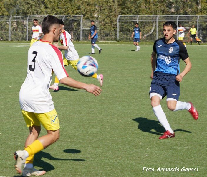 DSC00639y_tn.jpg