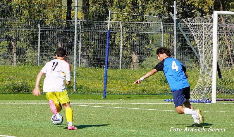 DSC00661y_tn.jpg