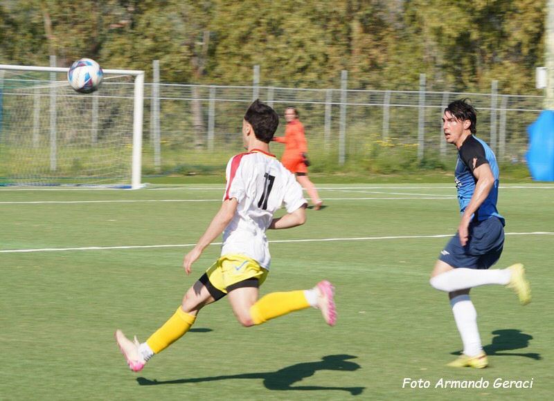 DSC00688y_tn.jpg
