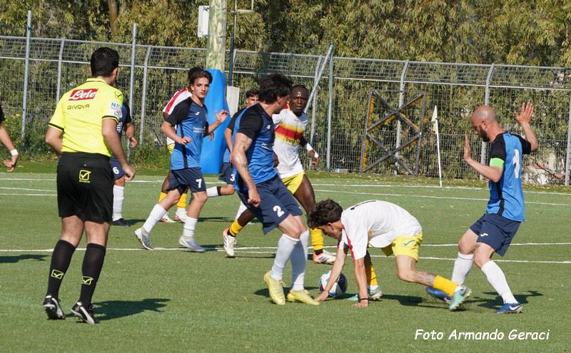 DSC00695y_tn.jpg