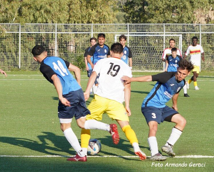 DSC00800y_tn.jpg
