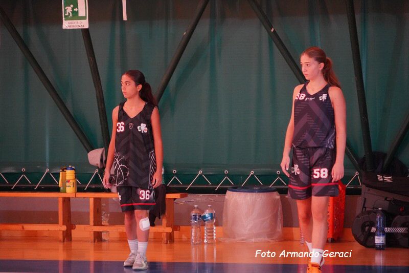 DSC08442_tn.jpg