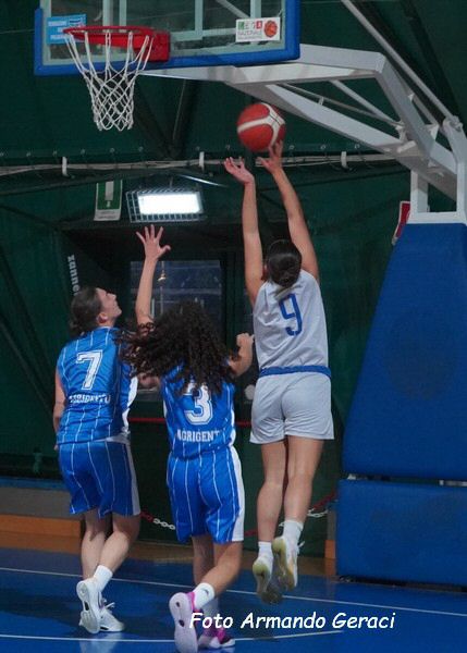 DSC00680y_tn.jpg