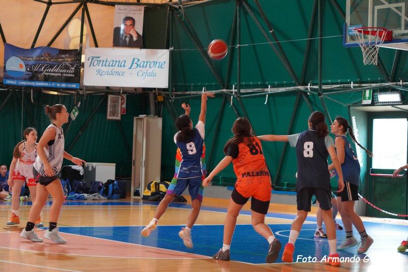 DSC03419_tn.jpg