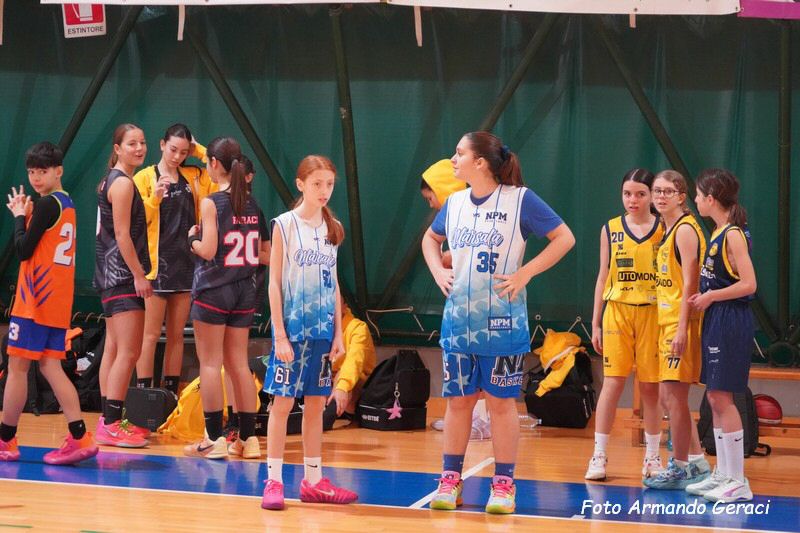 DSC03456_tn.jpg
