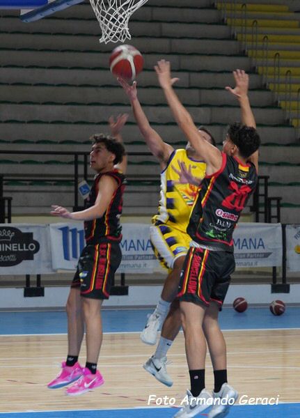 DSC04578y_tn.jpg