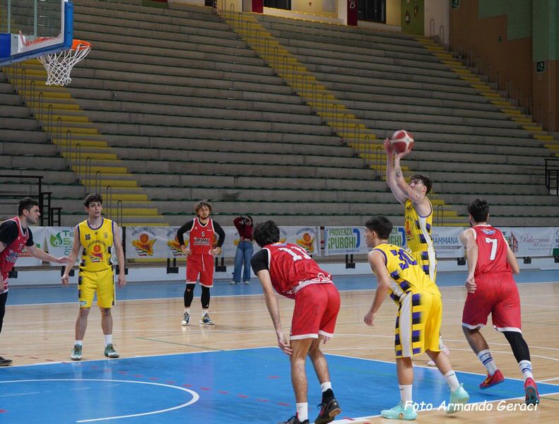 DSC07149y_tn.jpg