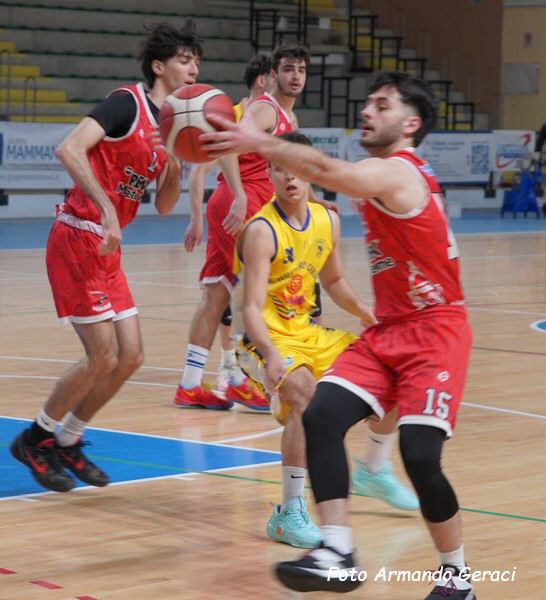 DSC07150y_tn.jpg