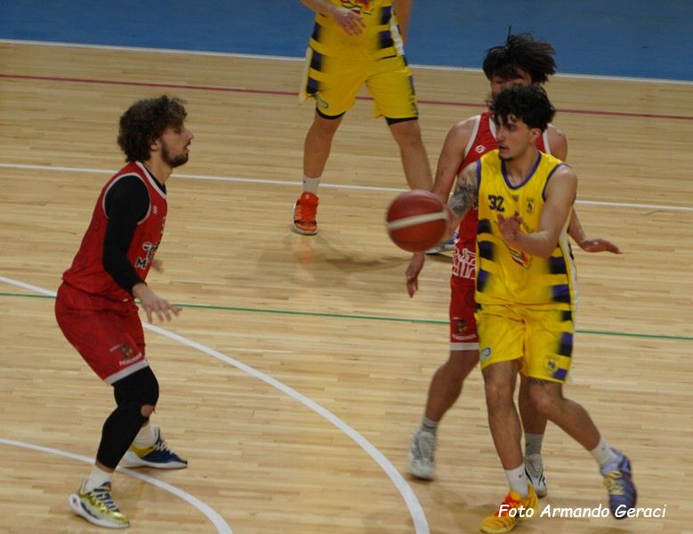 DSC07220y_tn.jpg