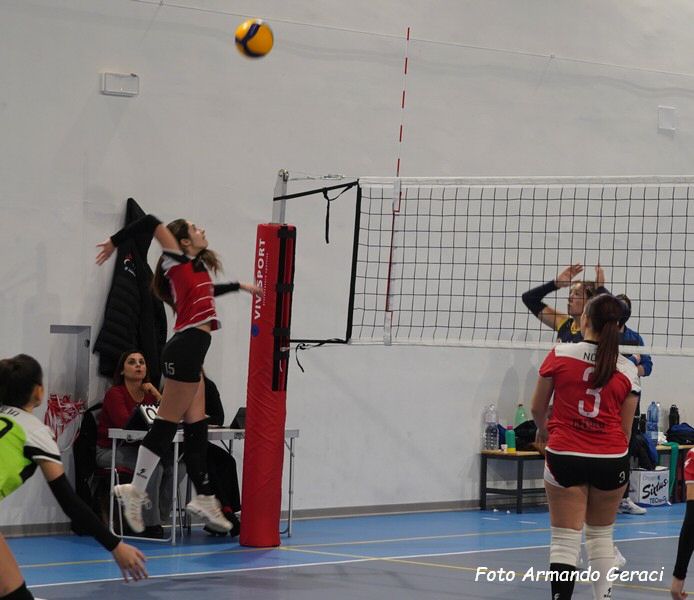 DSC06450y_tn.jpg