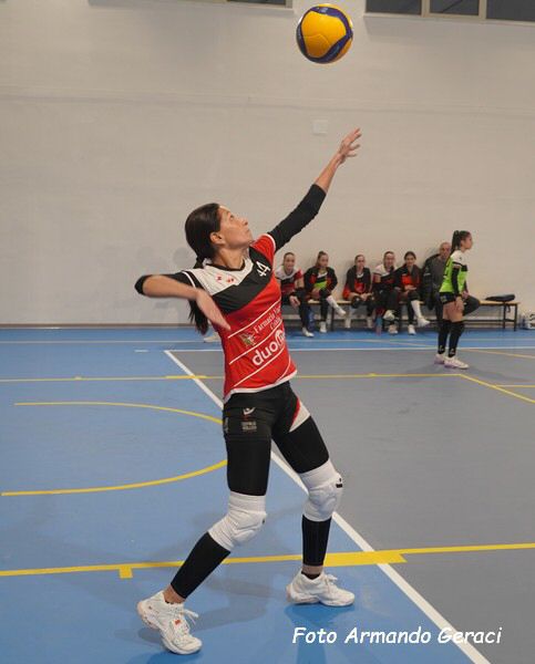 DSC06486y_tn.jpg