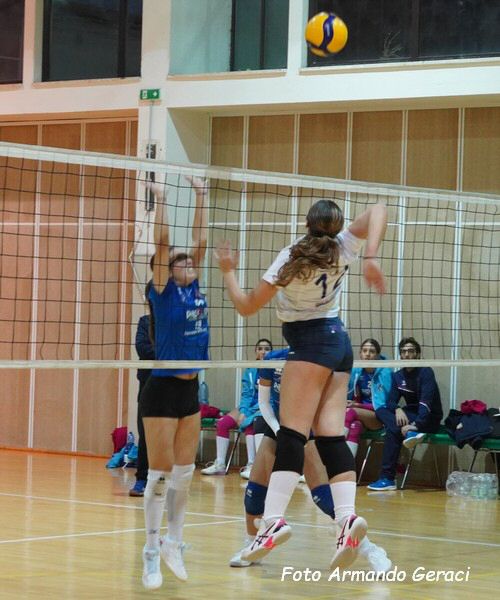 DSC06732y_tn.jpg