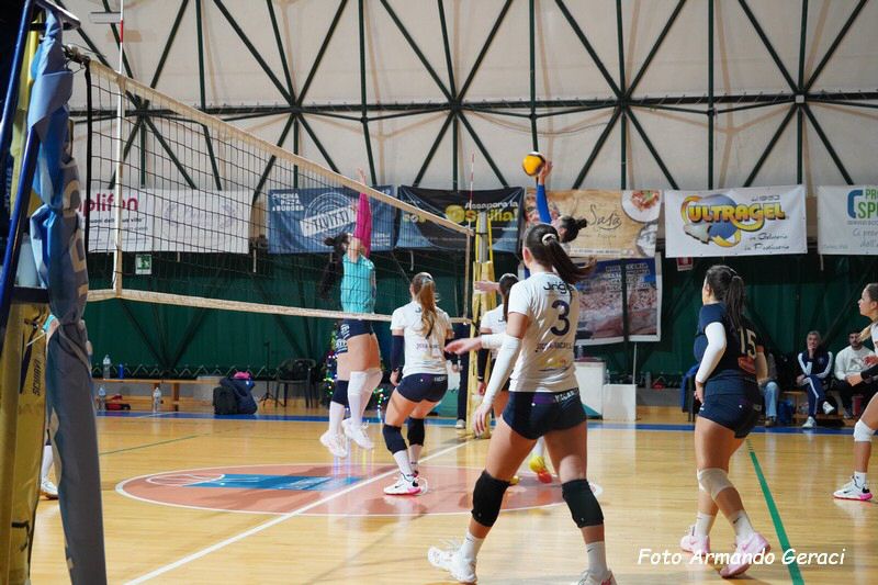 DSC08870_tn.jpg
